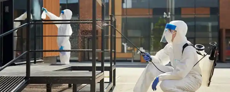 Workers Disinfecting Building